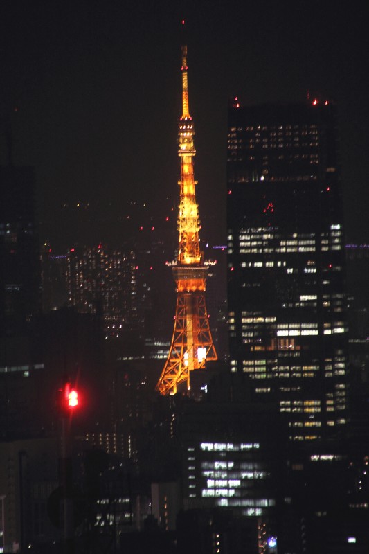 東京都夜景_004.jpg