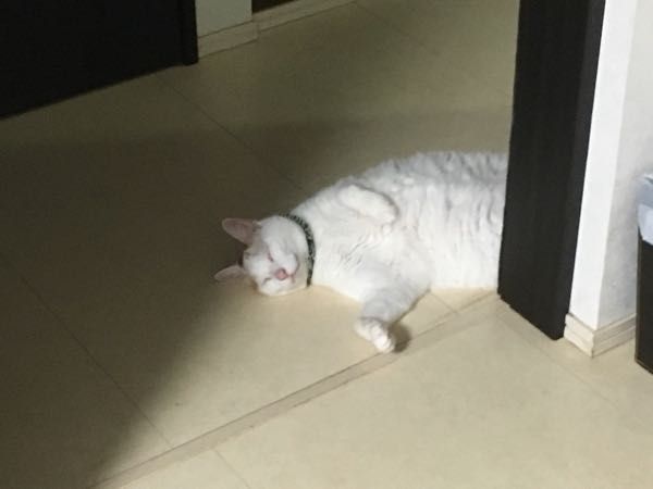 rblog-20180710055427-01.jpg