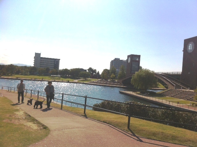 環水公園その2