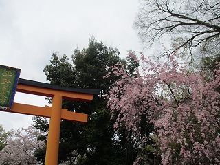 IMG_9282ss.jpg