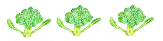 野菜12.jpg