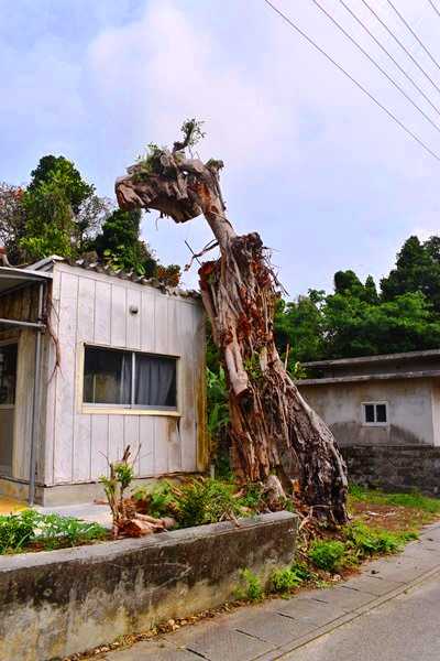 多良間島をご紹介させていただきます 21 03宮古島多良間島 スチュワデスが呆れたドクタートヒモイ公式げすとはうす 世界は基本的に広い んですけど 楽天ブログ