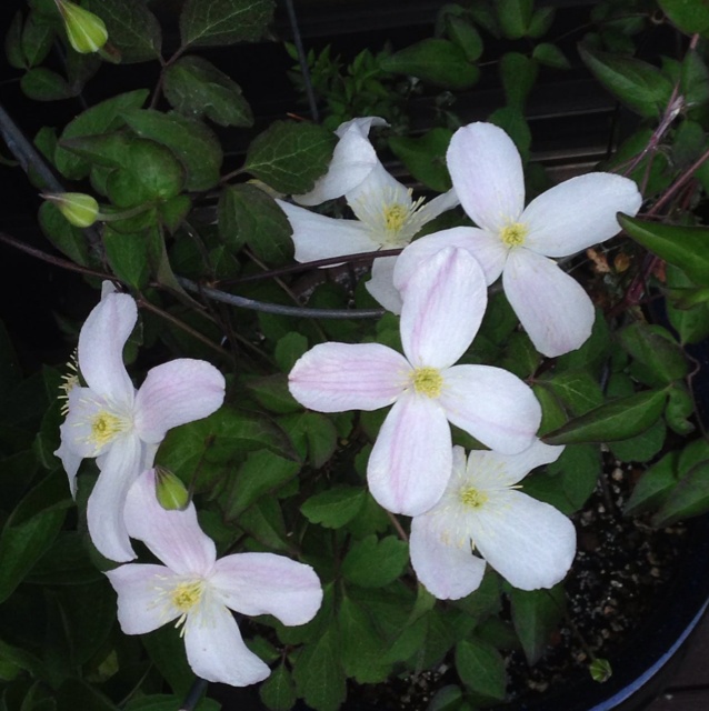 rblog-20130507192319-01.jpg