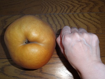 果物２.jpg