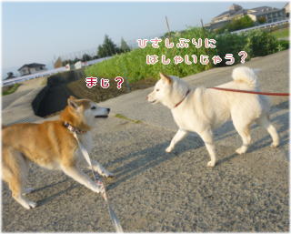 0423朝1.jpg