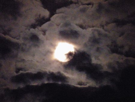 2014-09-09 015-p.jpg