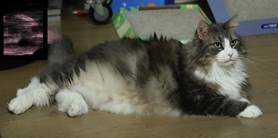 5DA_0595-5.jpg