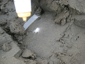 塩はたっぷりと