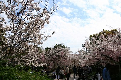 IMG_7235.jpg