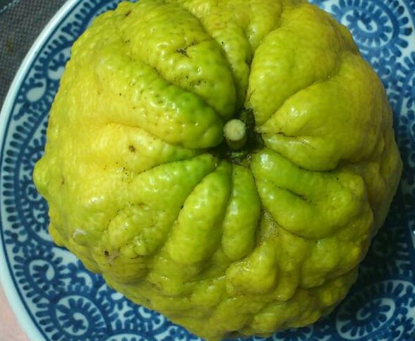 鬼ゆず