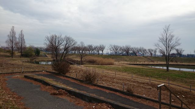 2014-12-20 12.14.53.jpg
