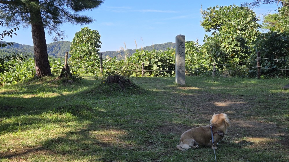 御館公園 ペット