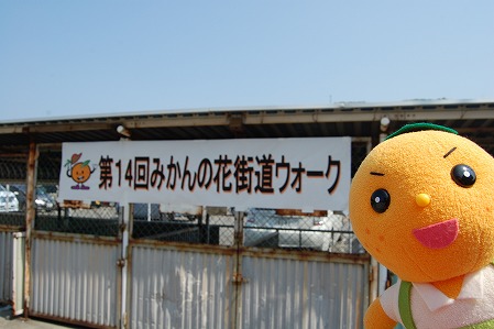 s-DSC_0332.jpg