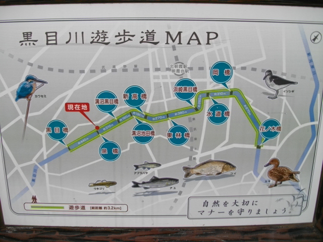 黒目川　＆　スーパーセール商品 054.JPG