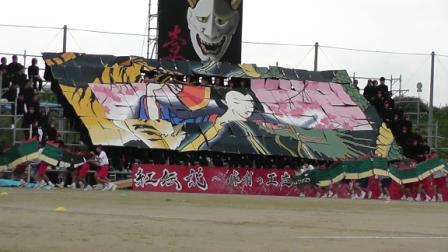 S1140165-5.JPG