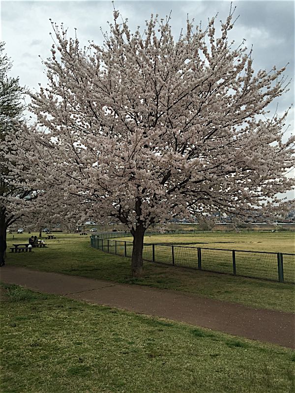 rblog-20150403222235-02.jpg