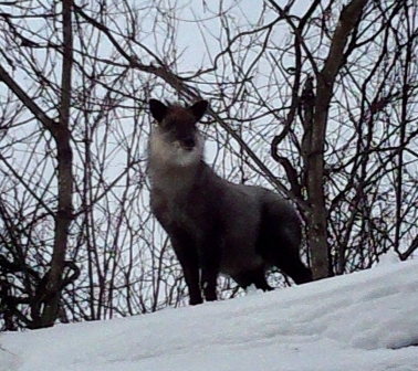 2015-01-05-10-24-26_deco.jpg