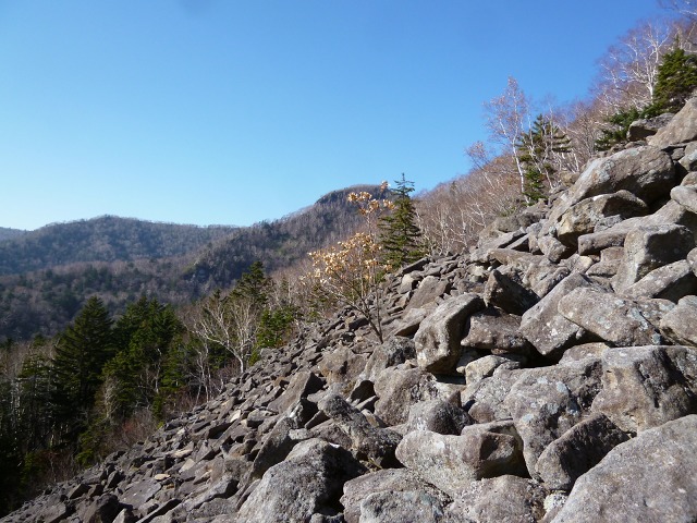 P1310638此処で昼13：29.jpg