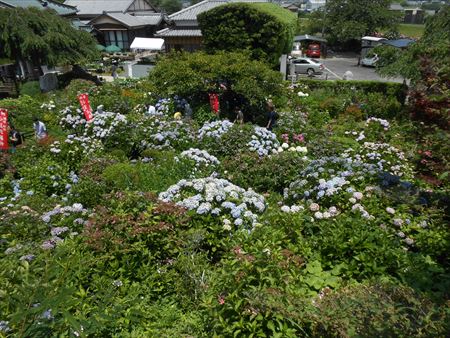 花の寺　本勝寺