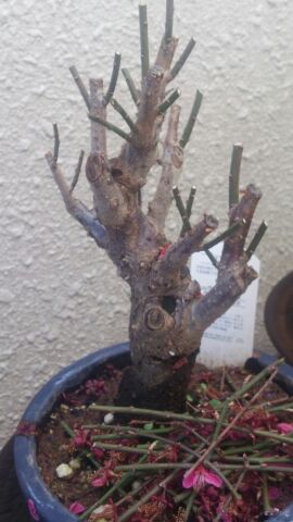 rblog-20150313230301-00.jpg