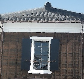 IMGP6839.JPG