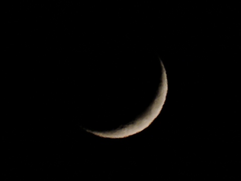 DSCN0291.JPG