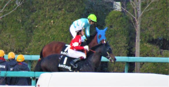 出資馬 ディバインコードその２ ミノルロドリゴの1口 地方馬主ブログ 楽天ブログ