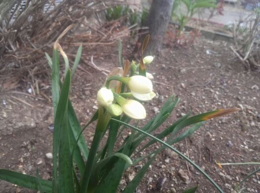 rblog-20140418195733-00.jpg