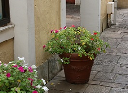 IMG_7249-24.jpg