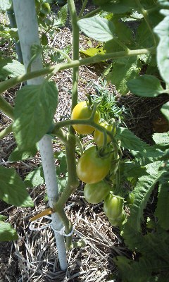 160614_1016~01.jpg
