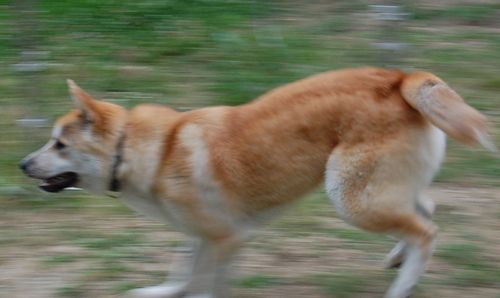 DSC_0080.JPG