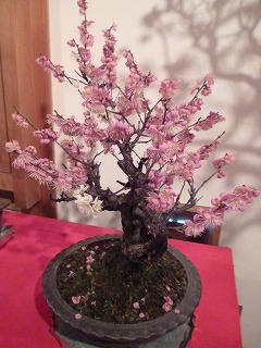 P1030004ss.jpg