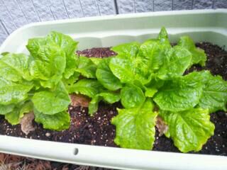 rblog-20140320090525-01.jpg