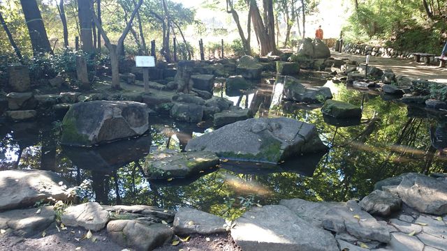 2015-11-03 13.38.07.jpg