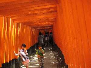 fusimiinari