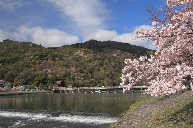 渡月橋_003.jpg