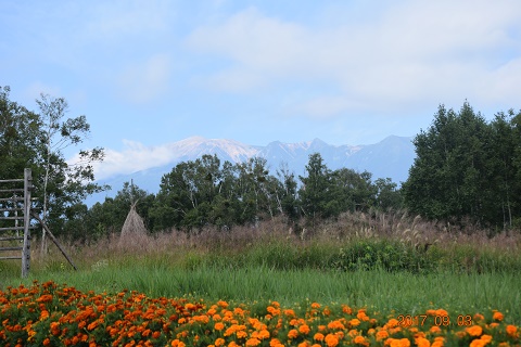 DSC_0400.jpg