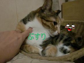 福ぶすり.JPG