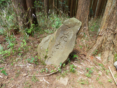 P5020748.jpg