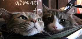 IMG_7747-19.jpg