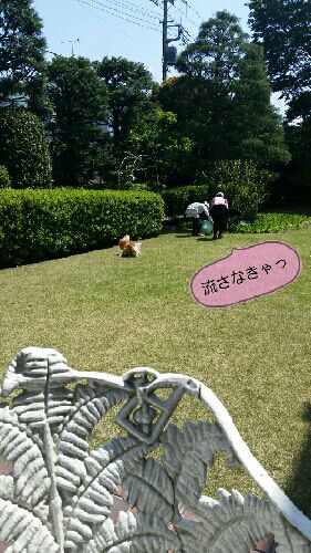 rblog-20150427083457-02.jpg