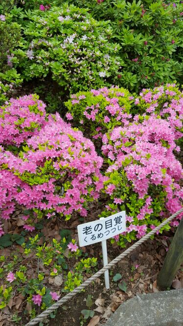 rblog-20160611151551-01.jpg