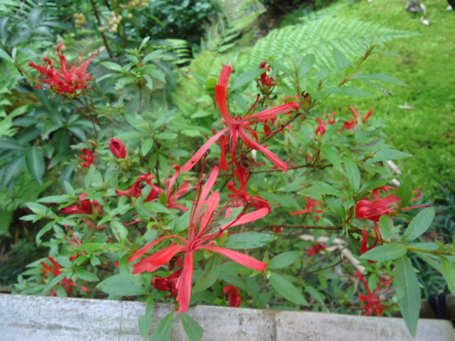 DSC01572.JPG