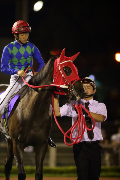 パドック