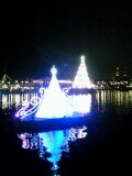 ２０１２年１２月５日 Sea インパ（イルミネーション２）１.jpg