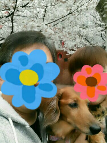 rblog-20160404122635-00.jpg