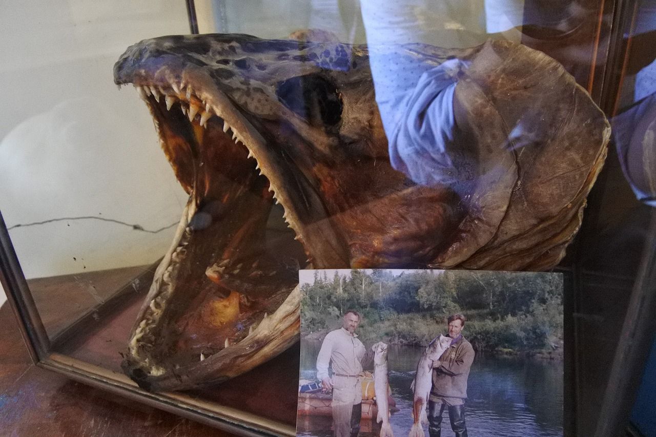 ロシアのイトウ その２ 北国の遊び方 北海道の釣りブログ 楽天ブログ