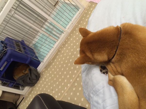 rblog-20151216230442-00.jpg