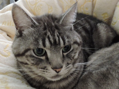 DSCN1213.JPG