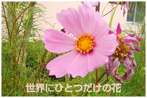 rblog-20160814134738-00.jpg